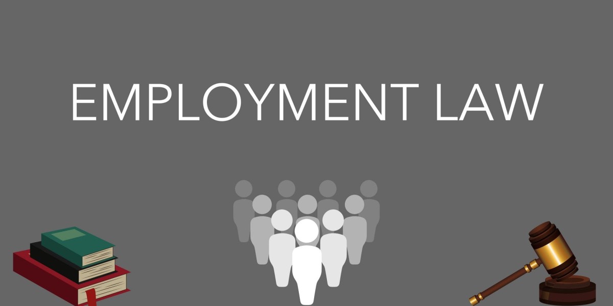 Empower Your Career: A Guide to Employment Solicitor Jobs