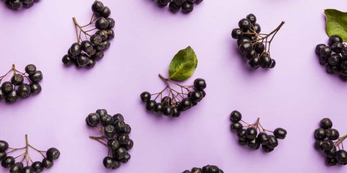 A Guide to Elderberry Farming in India