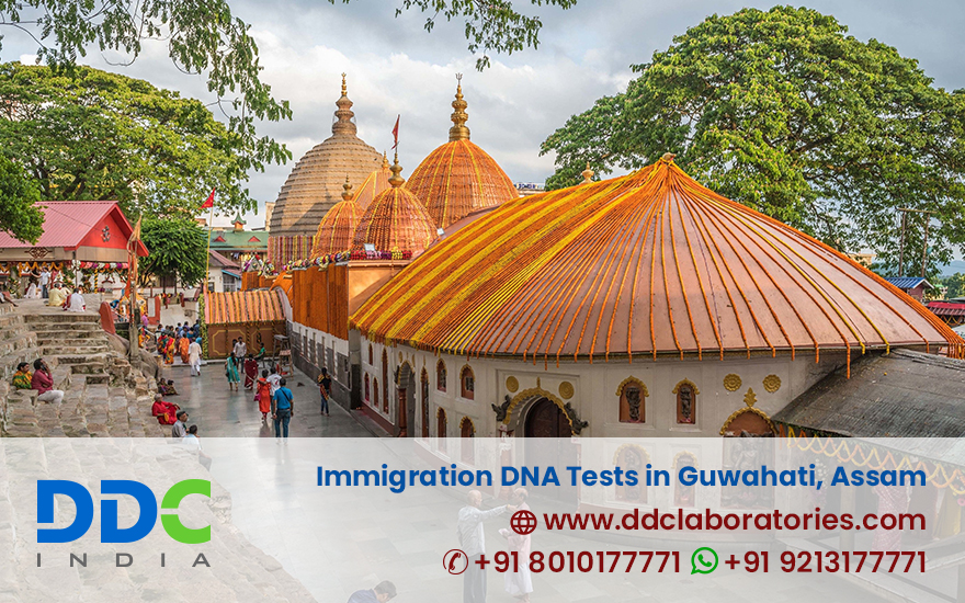 Immigration DNA Tests in Guwahati - Accurate & Reliable