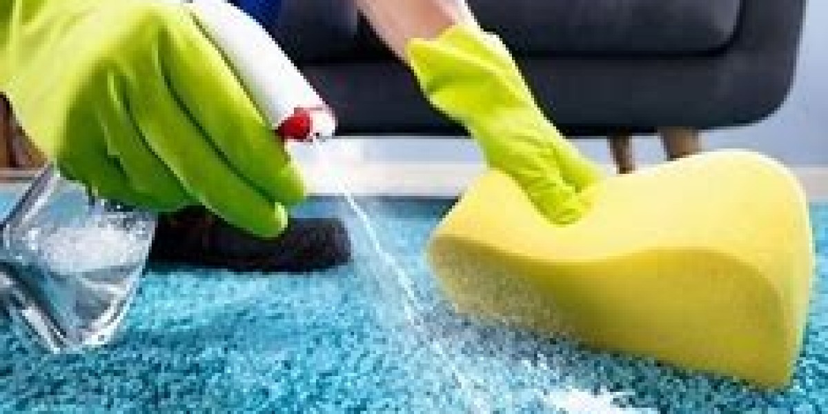 Safeguarding Your Investment: The Role of Carpet Cleaning