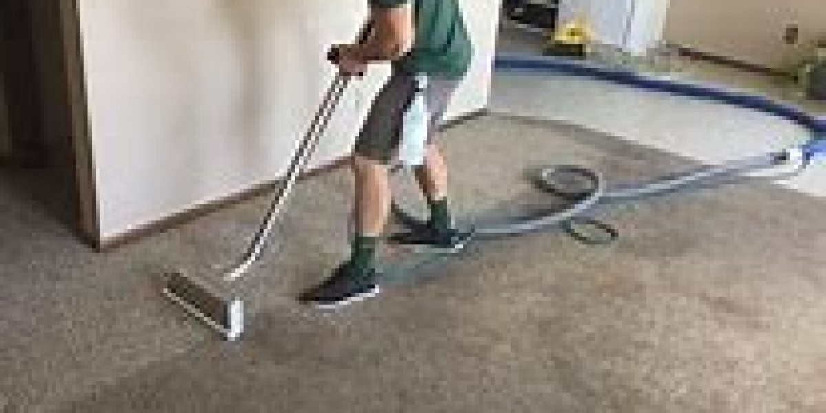 Revitalize Your Home: The Power of Professional Carpet Cleaning