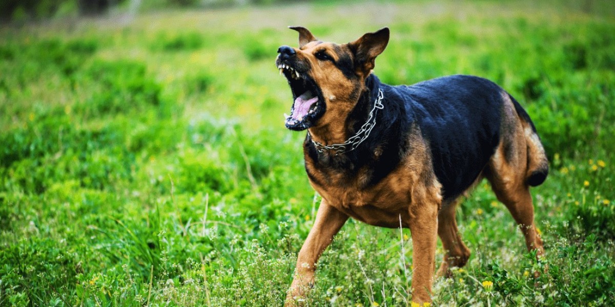 Employee Dog Bite Prevention Tips and Best Practices