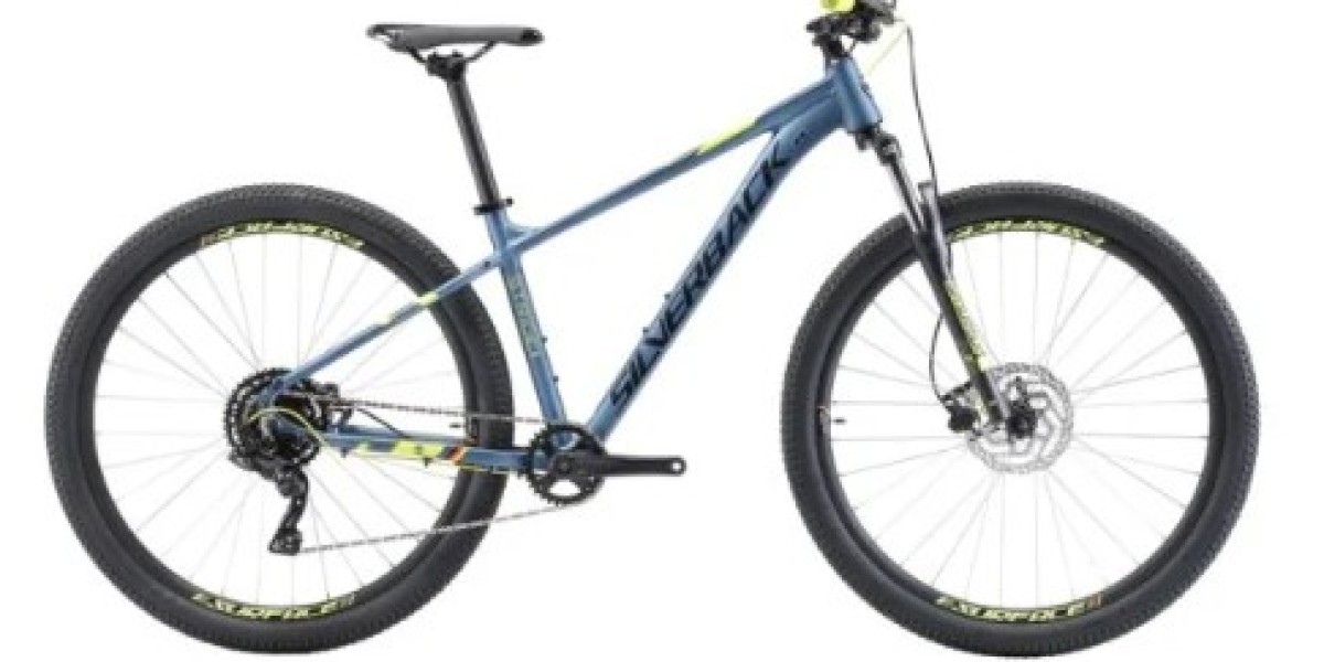 Silverback Mountain Bike